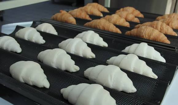 Frozen Dough — Bakerz bakery product